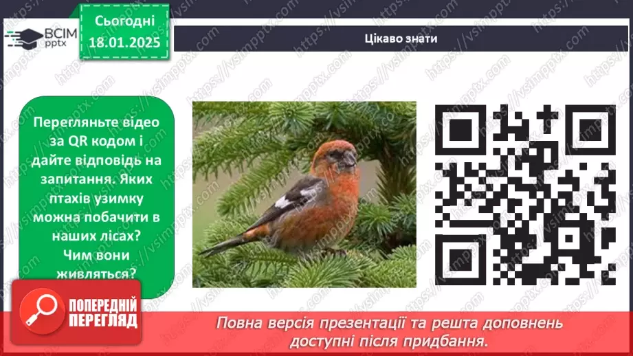 №0055 - Як зимують птахи та звірі19 №0055 - Як зимують птахи та звірі19