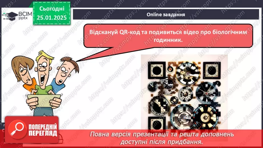№20 - Біологічні ритми і здоров’я.6