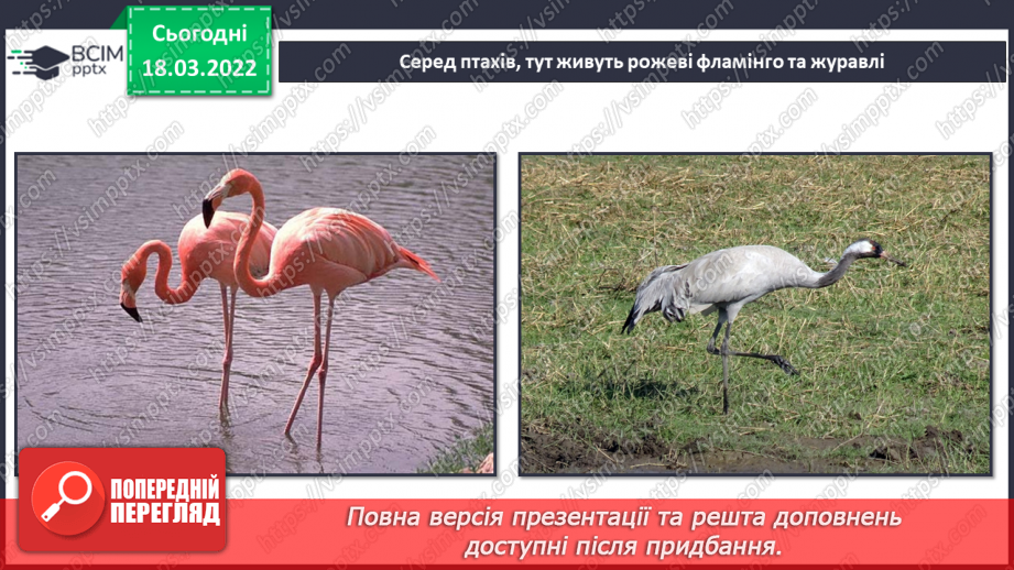 №077 - Як синоптики визначають погоду? Комікс: «Як екскурсанти можуть зіпсувати прогноз погоди?»7 №077 - Як синоптики визначають погоду? Комікс: «Як екскурсанти можуть зіпсувати прогноз погоди?»7