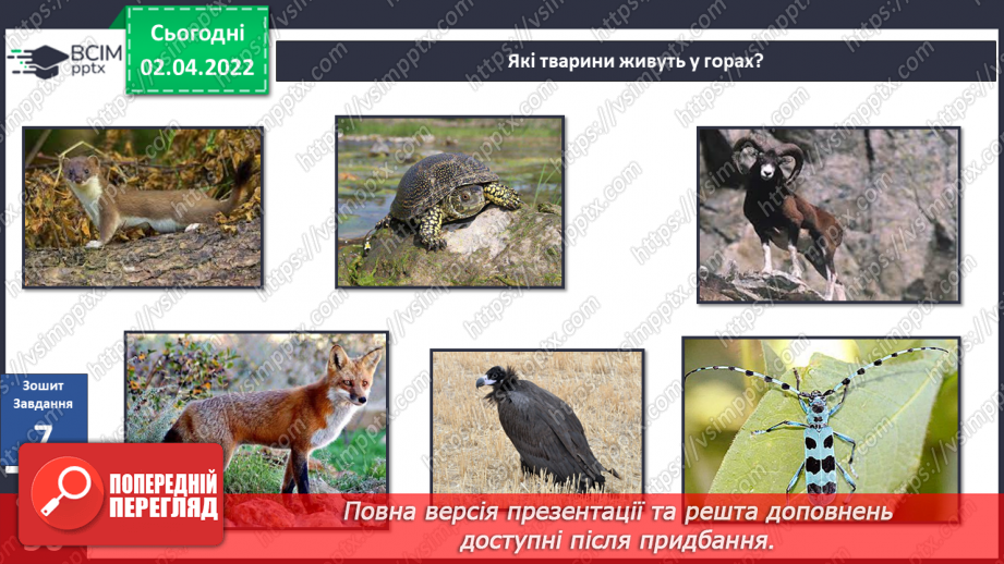 №083 - Кримські гори.25