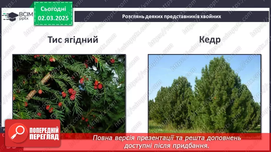№074 - Різноманітність рослин. ст.59-619