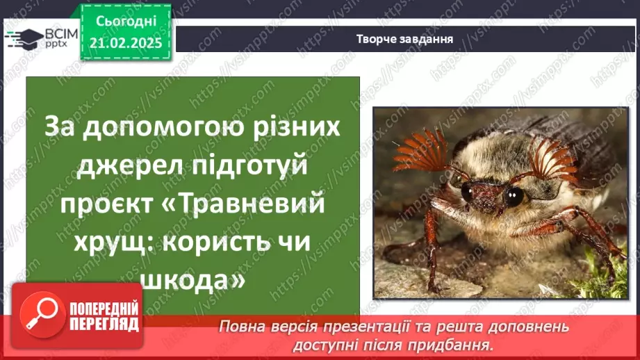 №0072 - Які комахи з’являються першими навесні24