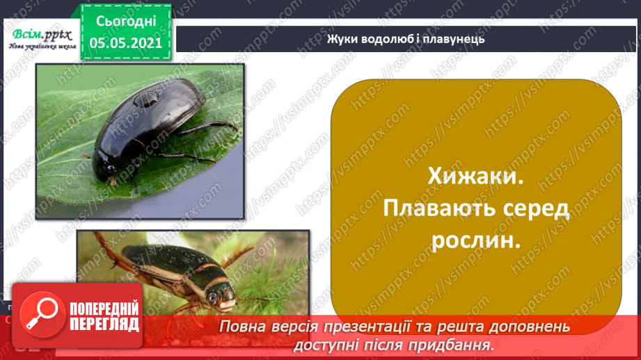 №052 - Природне угруповання — прісна водойма.20