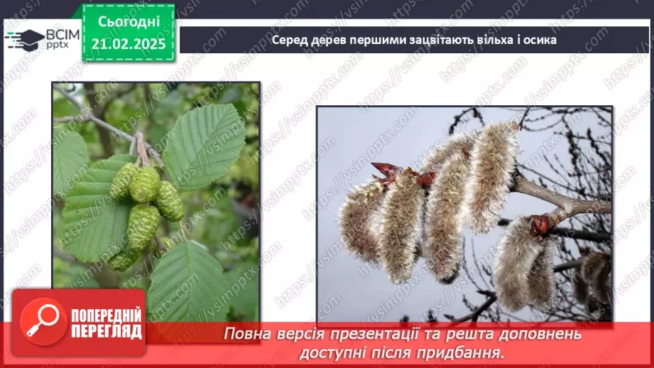 №0071 - Як почуваються рослини навесні6