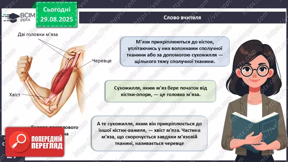 №006 - Особливості руху людини. Будова та функції м'язової системи.17 №006 - Особливості руху людини. Будова та функції м'язової системи.17