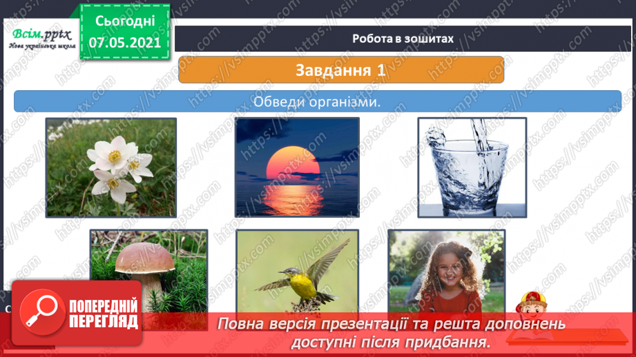 №049 - Яку будову має наше тіло28 №049 - Яку будову має наше тіло28