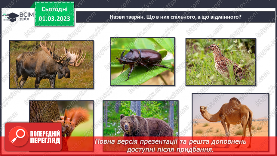 №076 - Хребетні та безхребетні тварини. Множини тварин.6