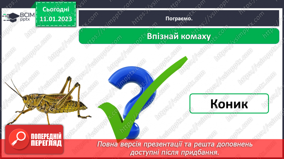 №0055 - Комахи24 №0055 - Комахи24