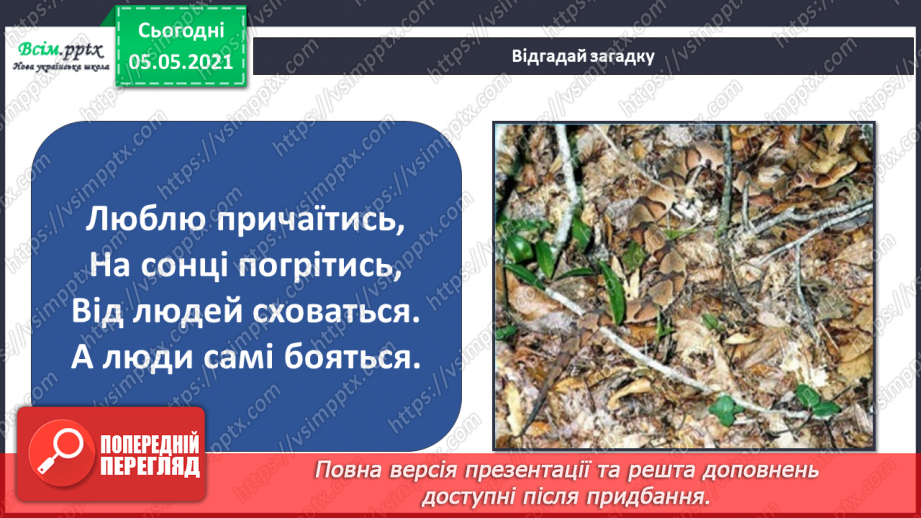 №044 - Різноманітність тварин у природі. Плазуни23 №044 - Різноманітність тварин у природі. Плазуни23