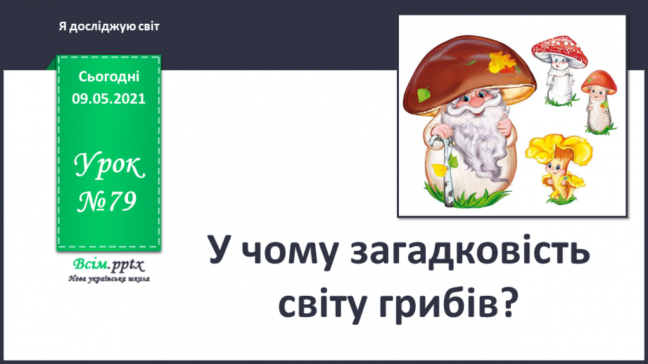 №079 - У чому загадковість світу грибів?0
