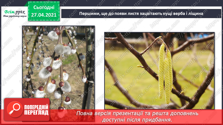 №075 - Як почуваються рослини навесні?16 №075 - Як почуваються рослини навесні?16