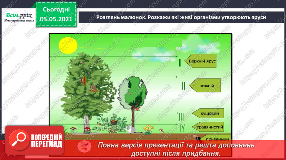 №050 - Природні угруповання. Природне угруповання — ліс.12