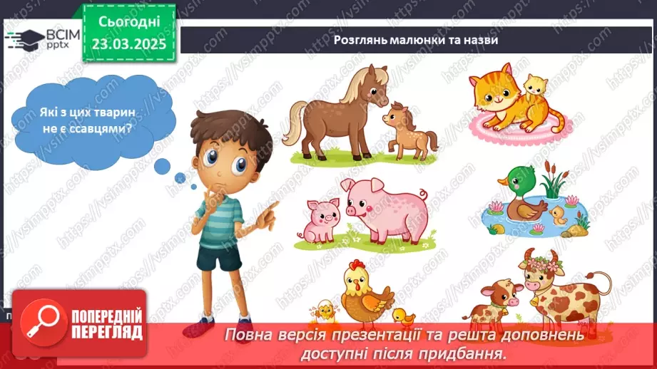 №082 - У світі тварин. Дорослі та дитинчата. Стадії розвитку тварин.13 №082 - У світі тварин. Дорослі та дитинчата. Стадії розвитку тварин.13