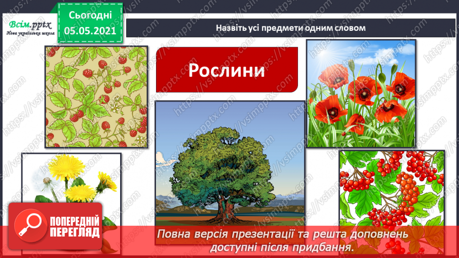 №030 - Рослини. Будова рослин8 №030 - Рослини. Будова рослин8