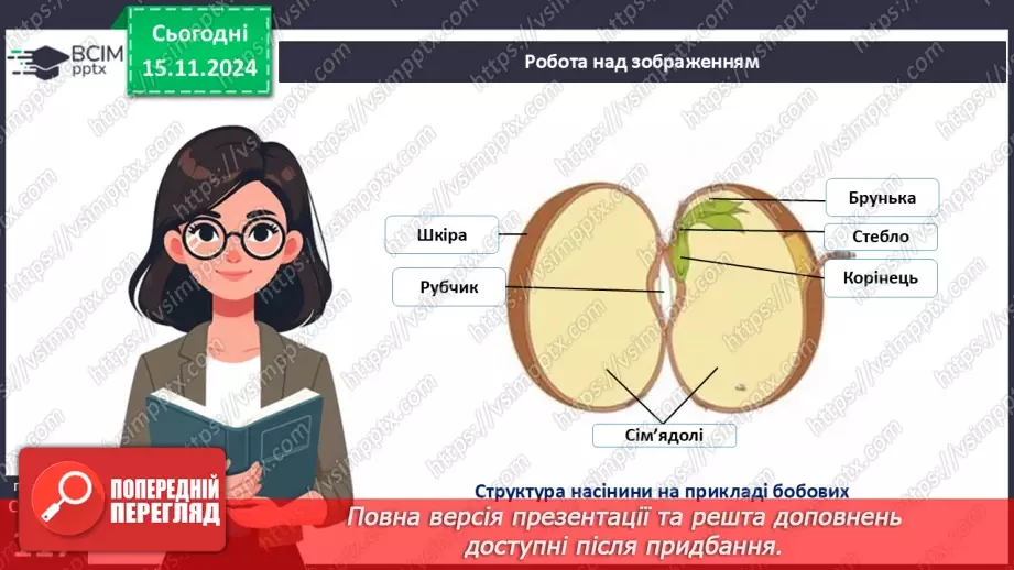 №34 - Квіткові. Насінина і плід. Поширення плодів і насінин.10 №34 - Квіткові. Насінина і плід. Поширення плодів і насінин.10