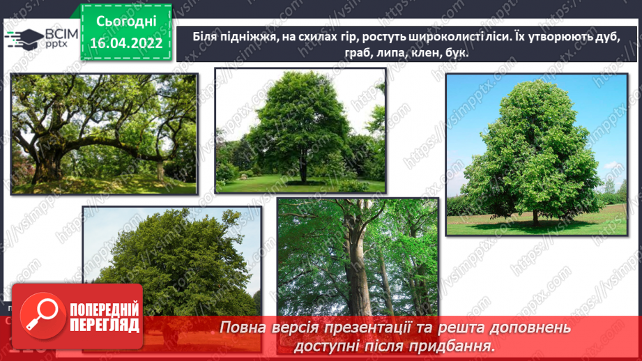 №088 - Яка природа в Карпатських  горах?22