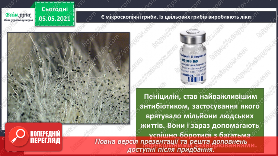 №049 - Гриби.11 №049 - Гриби.11