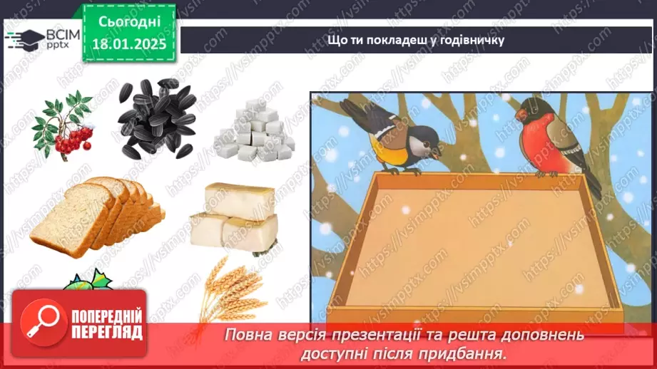 №0055 - Як зимують птахи та звірі21 №0055 - Як зимують птахи та звірі21