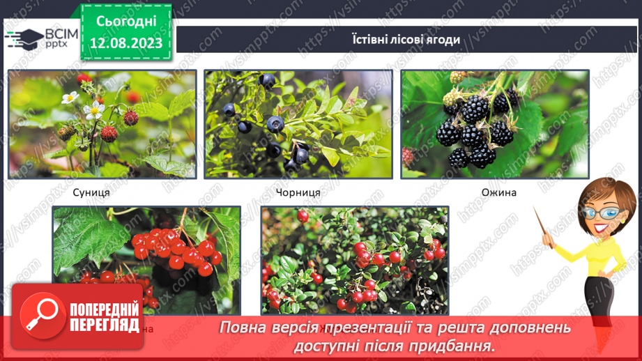 №42 - Ліс як джерело їжі (гриби, ягоди, мед тощо).7