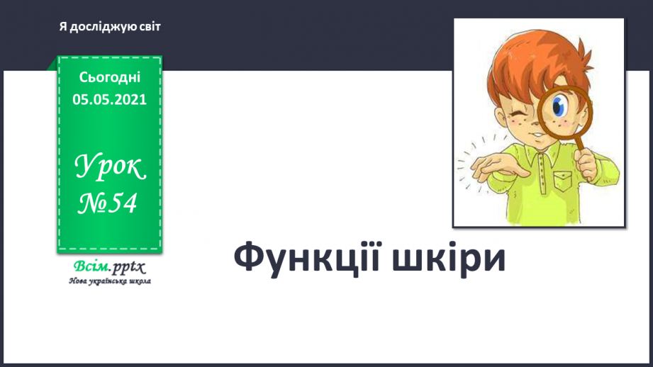№054 - Функції шкіри.0 №054 - Функції шкіри.0