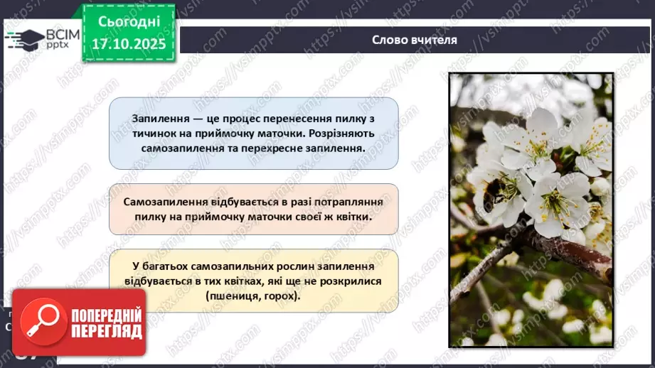 №025 - Покритонасінні рослини: пристосування до життя на суходолі, суцвіття, запилення й запліднення.13 №025 - Покритонасінні рослини: пристосування до життя на суходолі, суцвіття, запилення й запліднення.13