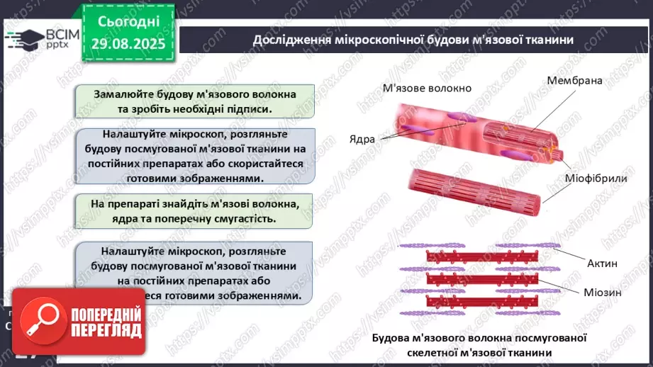 №006 - Особливості руху людини. Будова та функції м'язової системи.15 №006 - Особливості руху людини. Будова та функції м'язової системи.15
