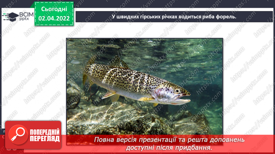 №082 - Українські Карпати24 №082 - Українські Карпати24