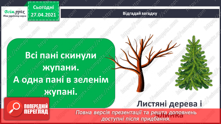 №032 - Як рослини готуються до зими3