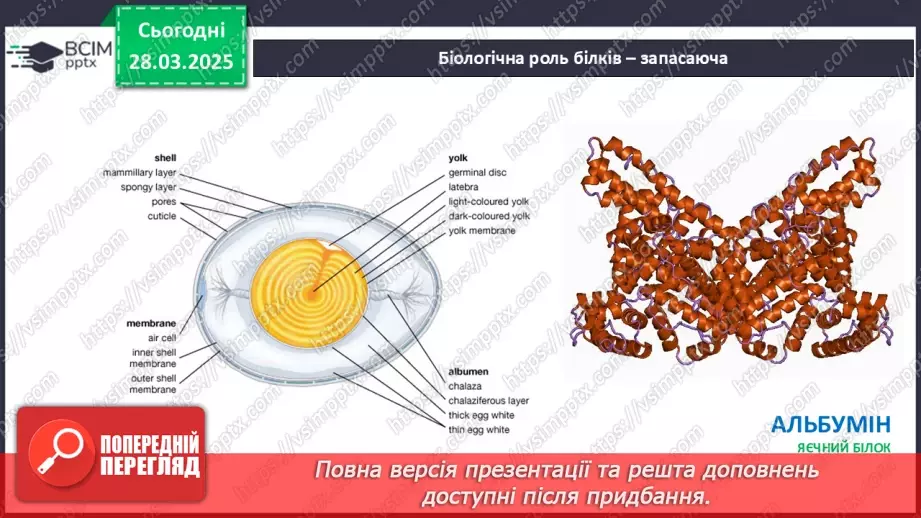 №29-30 - Білки.21 №29-30 - Білки.21