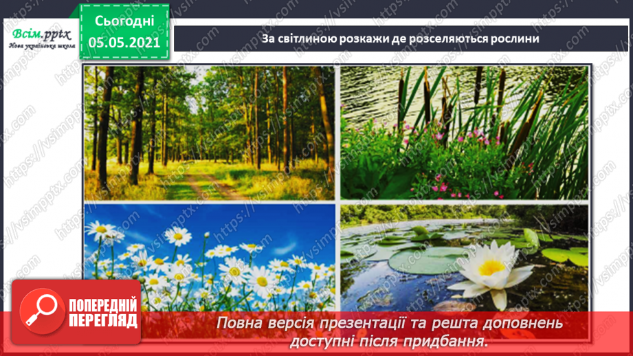 №030 - Рослини. Будова рослин15 №030 - Рослини. Будова рослин15