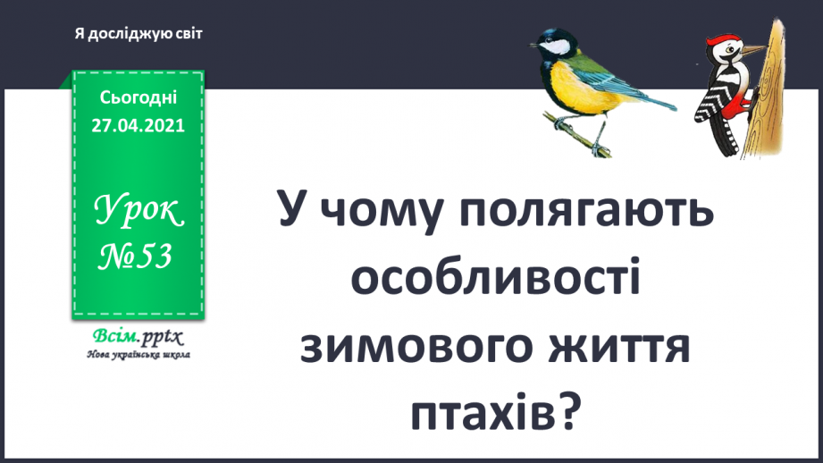 №053 - У чму полягають особливості зимового життя птахів?0