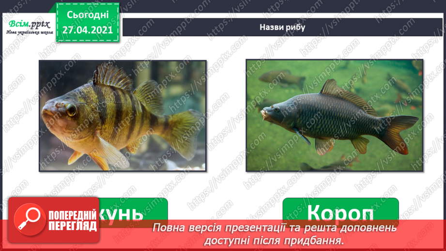 №052 - Які небезпеки загрожують рибам узимку?17