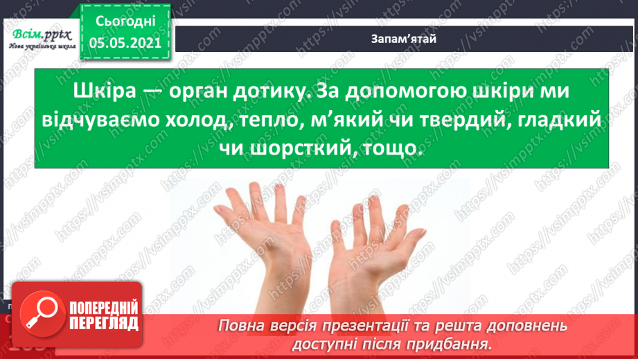 №087 - Орган дотику.4