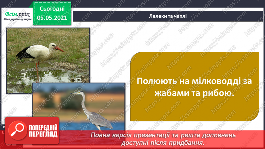 №052 - Природне угруповання — прісна водойма.30