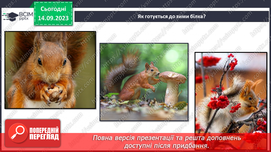 №012 - Тварини восени. Чому до зими потрібно готуватись? Як тварини до зими готуються?15