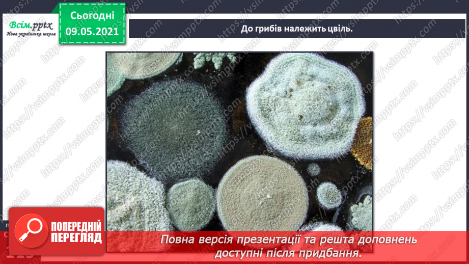 №079 - У чому загадковість світу грибів?20
