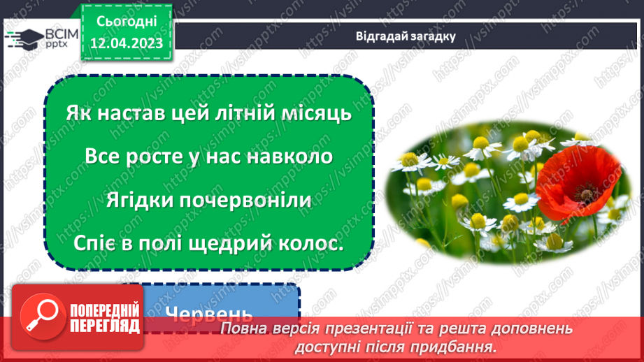 №0095 - Рослини влітку6
