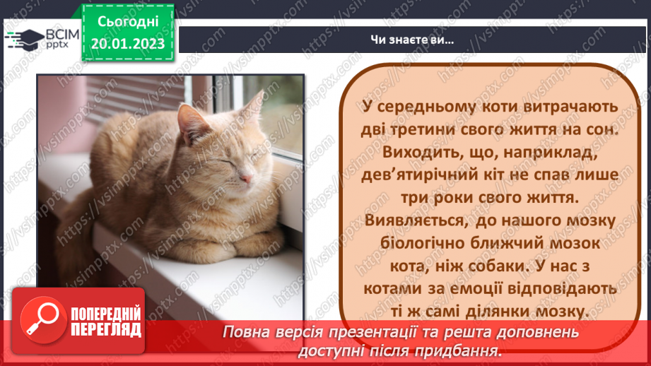 №20 - Виготовлення картинки-аплікації для друга «Котик»5