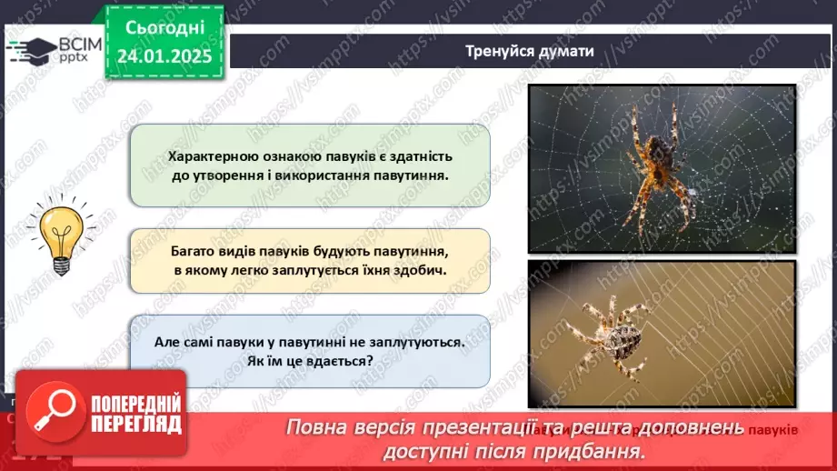 №55 - Павукоподібні.6 №55 - Павукоподібні.6