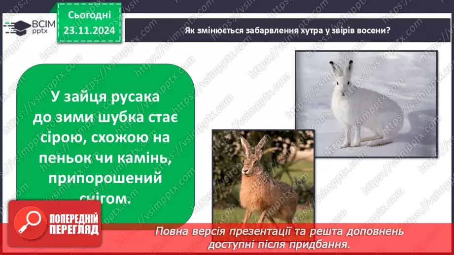 №0037 - Як звірі готуються до зими19 №0037 - Як звірі готуються до зими19