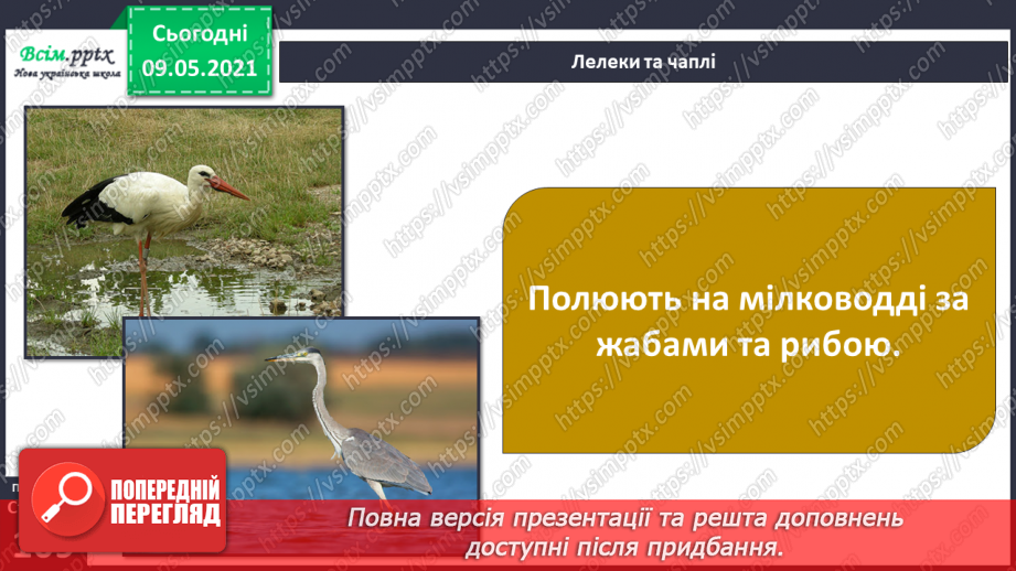 №074-75 - Які тварини живуть на луках, у степах і водоймах?29