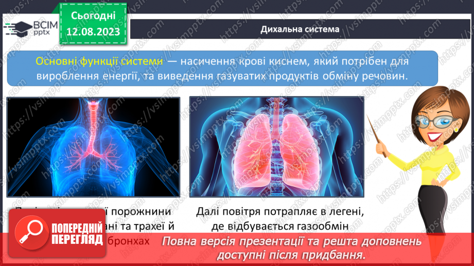 №13 - Людина як організована форма життя. Поняття про основні системи людини та їх значення.25