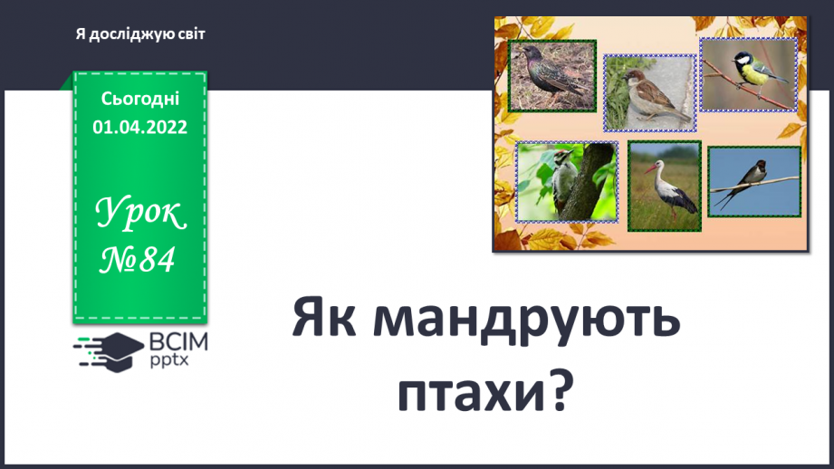 №084 - Як мандрують птахи?0 №084 - Як мандрують птахи?0