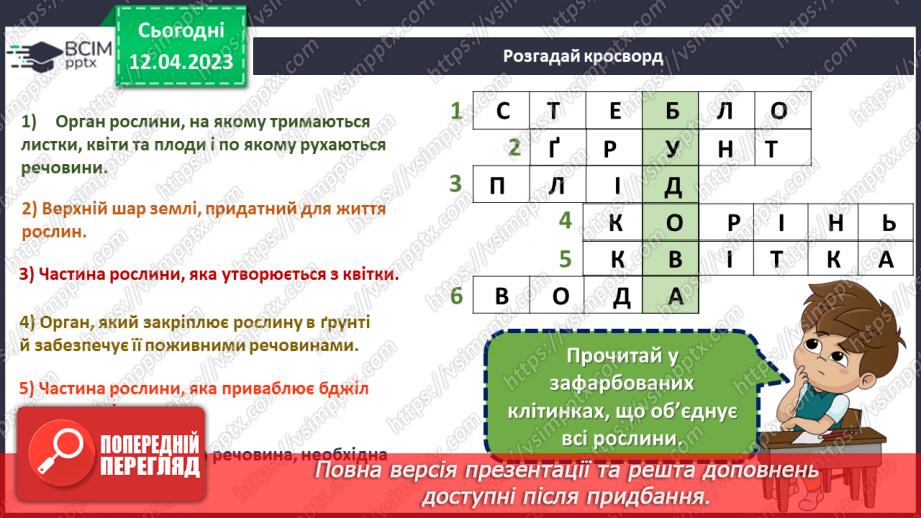 №0095 - Рослини влітку28