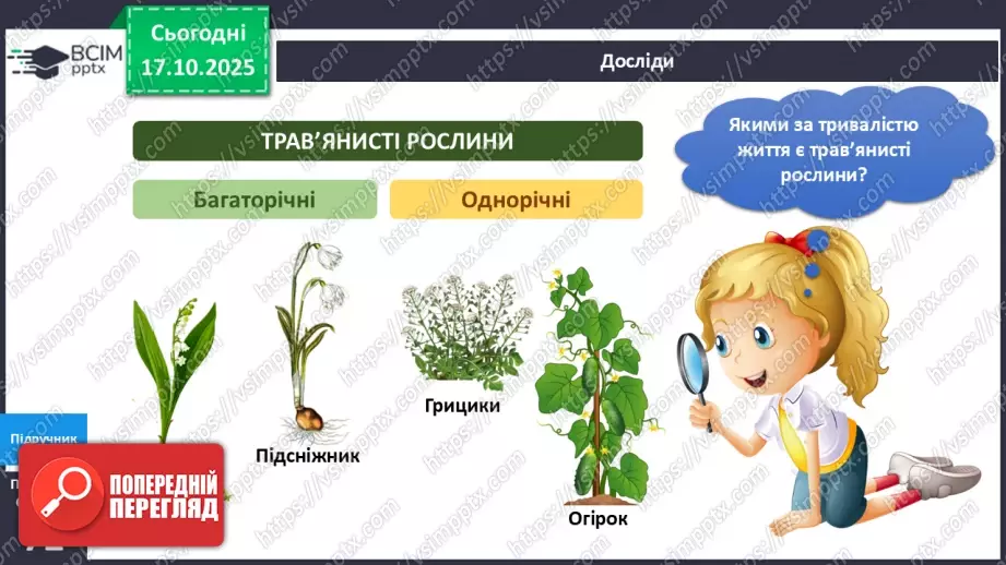 №025 - Будова й різноманітність рослин.13 №025 - Будова й різноманітність рослин.13