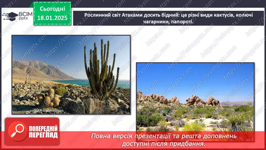 №37 - У чому особливість природних зон Південної Америки.21