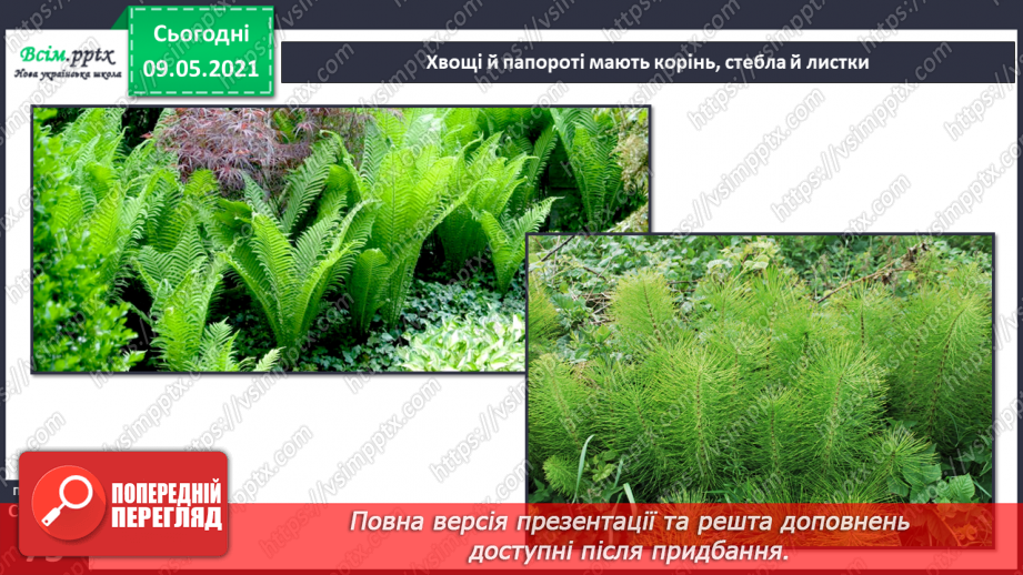 №049 - Чим особливий різноманітний світ рослин?21 №049 - Чим особливий різноманітний світ рослин?21