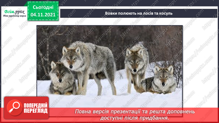 №040 - Як тварини пристосувалися добувати корм8 №040 - Як тварини пристосувалися добувати корм8