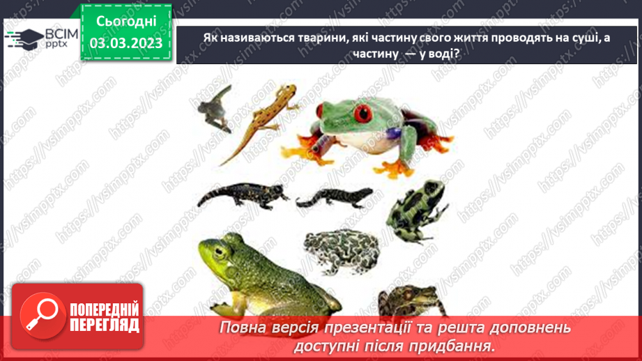 №51 - Узагальнення розділу «Клітини, бактерії, віруси, гриби, рослини і тварини».29
