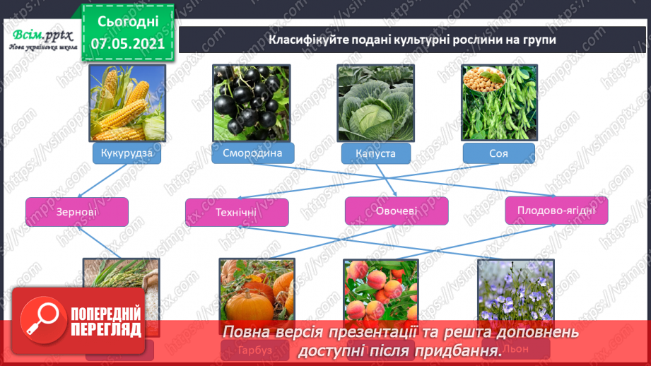 №048 - Узагальнення і систематизація знань учнів. Діагностична робота з тем «Різноманітність рослин і тварин». Підсумок за семестр.13